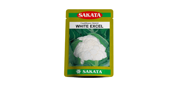 White Excel F1 Hybrid Cauliflower (Sakata Seeds) - Farmers Stop