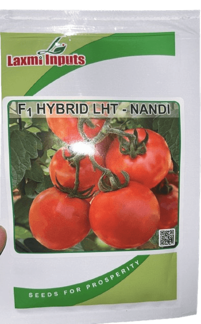 Nandi F1 Hybrid Toamto (Laxmi Inputs) - Farmers Stop