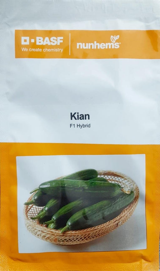 Kian/किआन F1 Parthenocarpic Cucumber Seeds (Nunhems) - Farmers Stop