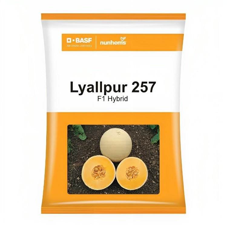 Lyallpur 257 F1 Hybrid Muskmelon (BASF-Nunhems) - Farmers Stop