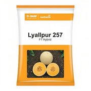 Lyallpur 257 F1 Hybrid Muskmelon (BASF-Nunhems) - Farmers Stop