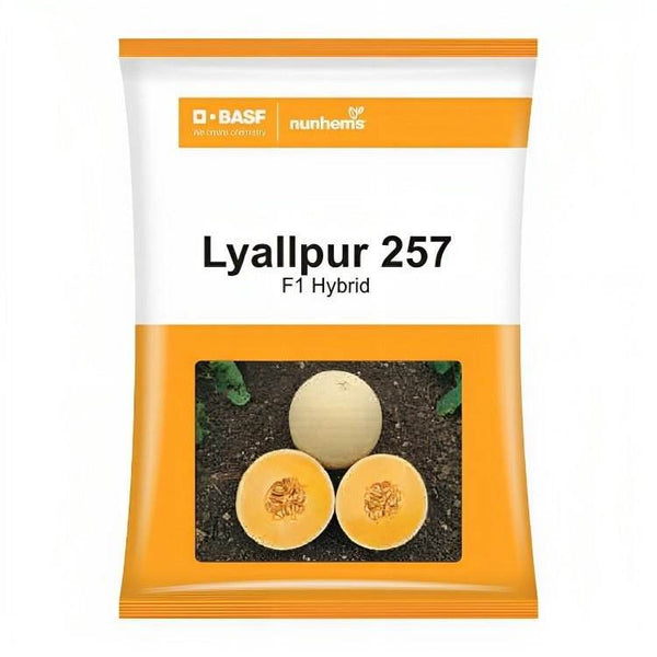 Lyallpur 257 F1 Hybrid Muskmelon (BASF-Nunhems) - Farmers Stop