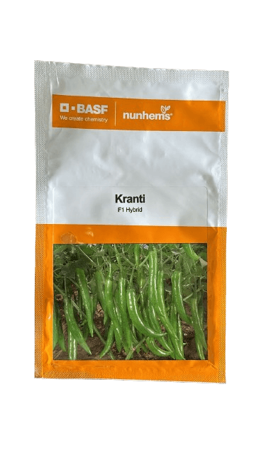 KRANTI F1 Hybrid Chilli (BASF | Nunhems) - Farmers Stop