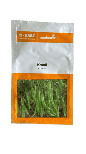 KRANTI F1 Hybrid Chilli (BASF | Nunhems) - Farmers Stop