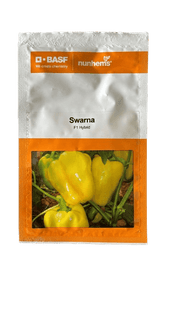 Swarna/स्वर्णा F1 Hybrid Yellow Capsicum (Nunhems) - Farmers Stop
