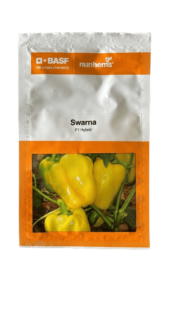 Swarna/स्वर्णा F1 Hybrid Yellow Capsicum (Nunhems) - Farmers Stop