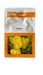 Swarna/स्वर्णा F1 Hybrid Yellow Capsicum (Nunhems) - Farmers Stop