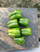 Fiza/फ़िज़ा Green Hybrid Sweet pepper (Known You Seeds) - Farmers Stop