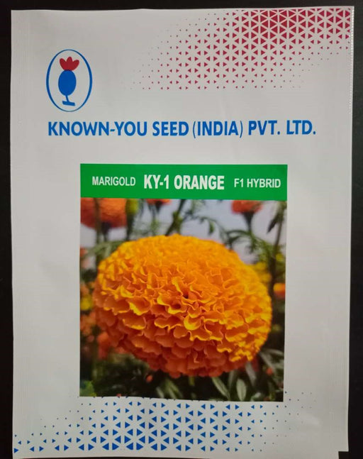 KY-1 ORANGE F1 Hybrid Marigold (KNOWN YOU SEEDS) - Farmers Stop