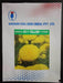 KY-1 YELLOW Hybrid F1 Yellow Marigold (KNOWN YOU SEEDS) - Farmers Stop