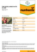 Matahari F1 Hybrid Onion (Nunhems) - Farmers Stop