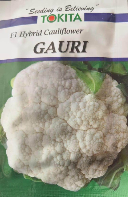 Gauri F1 Hybrid Cauliflower (Tokita Seeds) - Farmers Stop