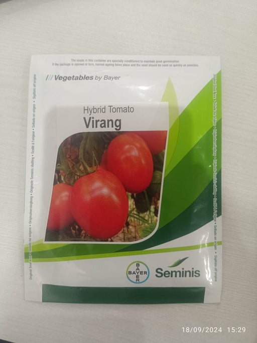 Virang F1 Hybrid Tomato Seeds (Seminis) - Farmers Stop