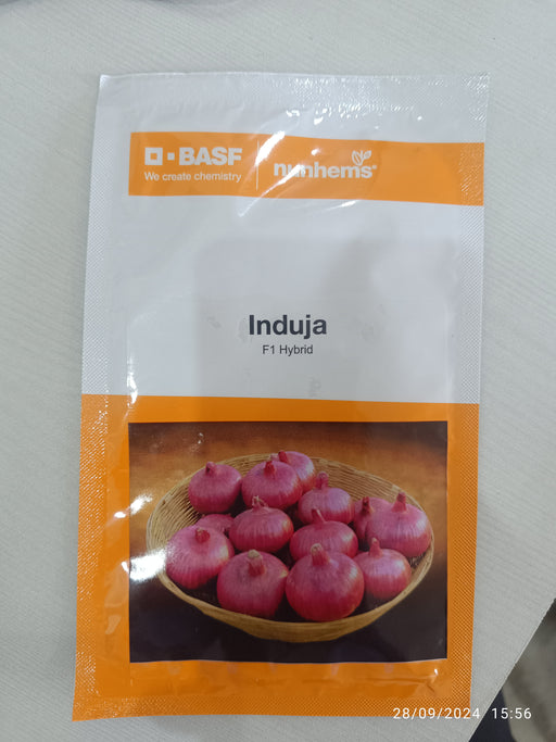 Induja F1 Hybrid Onion (BASF Nunhems) - Farmers Stop