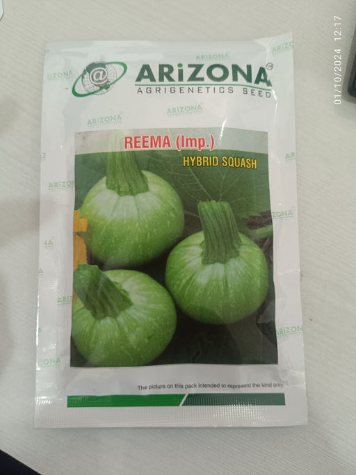 Reema (Imported) F1 Hybrid Squash (Arizona AgriGenetics Seed) - Farmers Stop