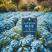 Alyssum Blue (Garden Festival's) - Farmers Stop