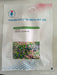 Torenia Summery Love Mix Pelleted (Known You Seeds) - Farmers Stop