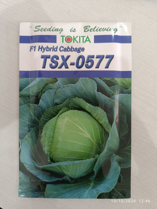 TSX-0577 F1 Hybrid Cabbage (Tokita Seeds) - Farmers Stop