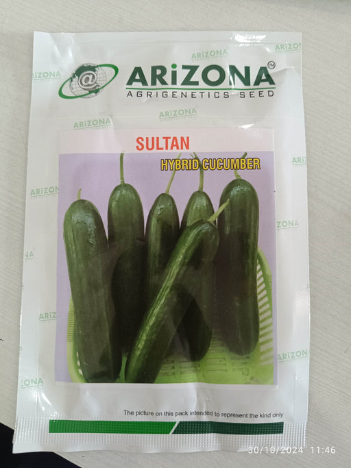 Sultan F1 Hybrid Parthenocarpic Cucumber (Arizona AgriGenetics Seed) - Farmers Stop