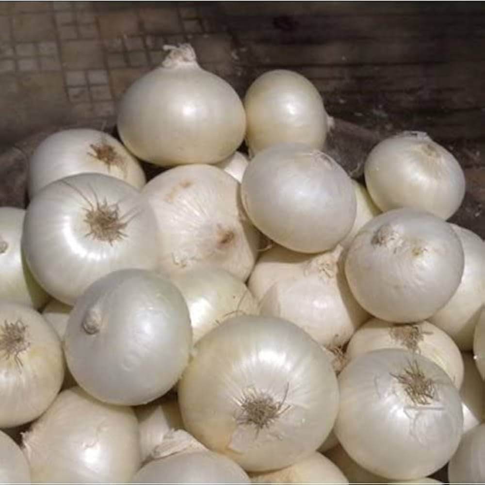 Improved Onion White Colored Seeds (Garden Festival) - Farmers Stop