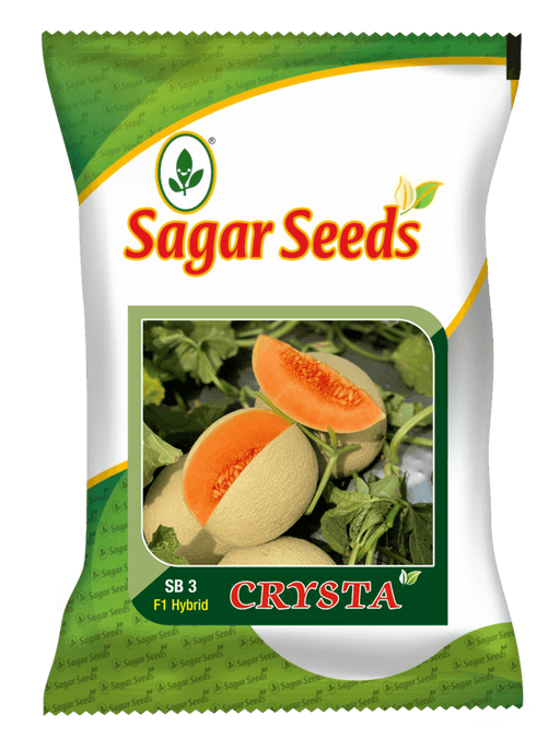 Crysta Hybrid Muskmelon (Sagar Biotech Seeds) - Farmers Stop