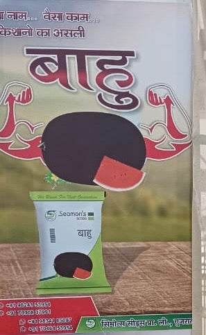 Baahu/बाहु F1 Hybrid Watermelon (Seamons Seeds) - Farmers Stop