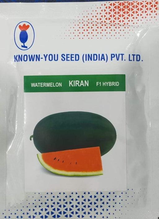 Kiran/किरण Hybrid Watermelon Ice Box Type-Red Flesh (Known You Seeds) - Farmers Stop