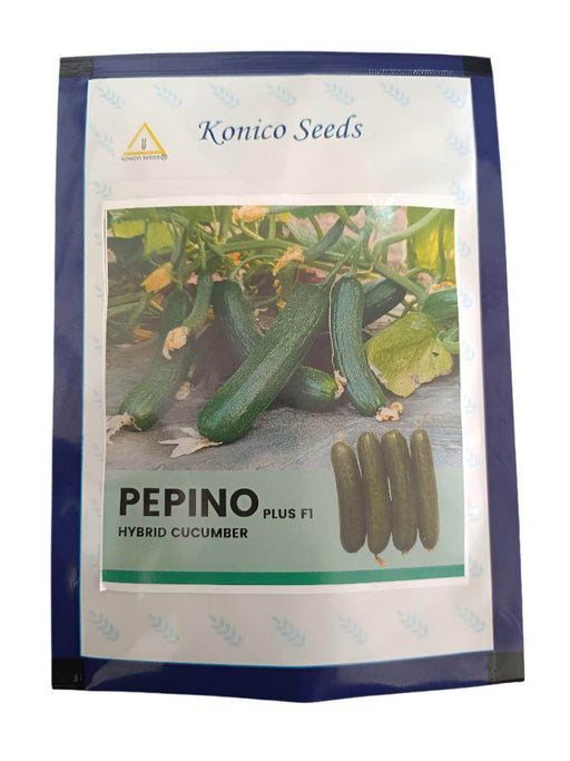 PEPINO Plus F1 HYBRID CUCUMBER Multi-Fruting (KONICO SEEDS) - Farmers Stop