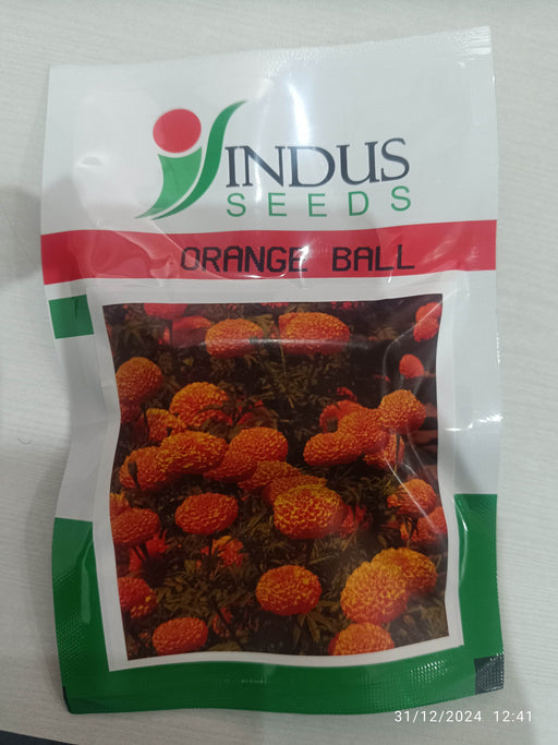 Orange Ball Hybrid F1 Marigold (Indus Seeds) - Farmers Stop