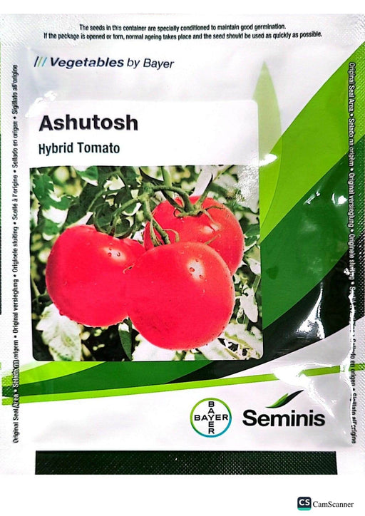 Ashutosh Heat Tolerant Summer F1 Hybrid Tomato Seeds (Seminis) - Farmers Stop