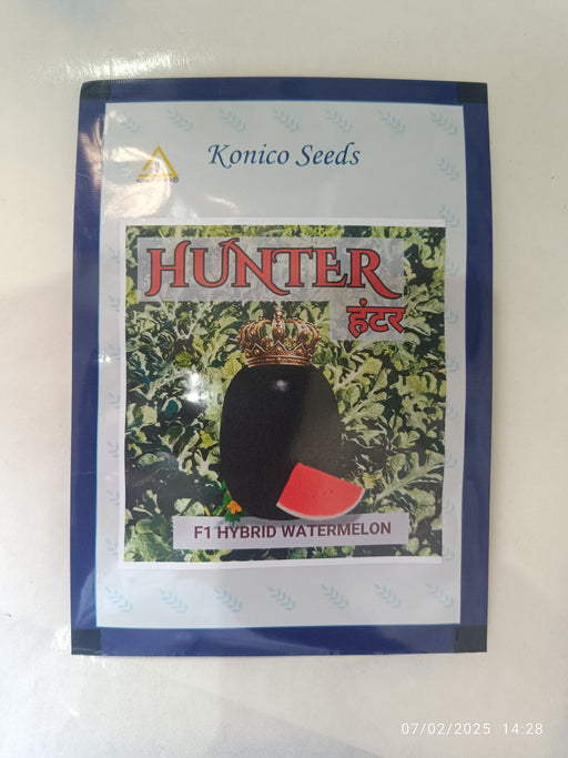 HUNTER/हंटर F1 Hybrid IceBox Watermelon (Konico Seeds) - Farmers Stop