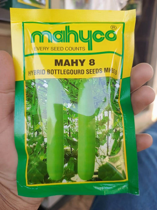 MAHY 8 Bottlegourd/लौकी (Mahyco) - Farmers Stop
