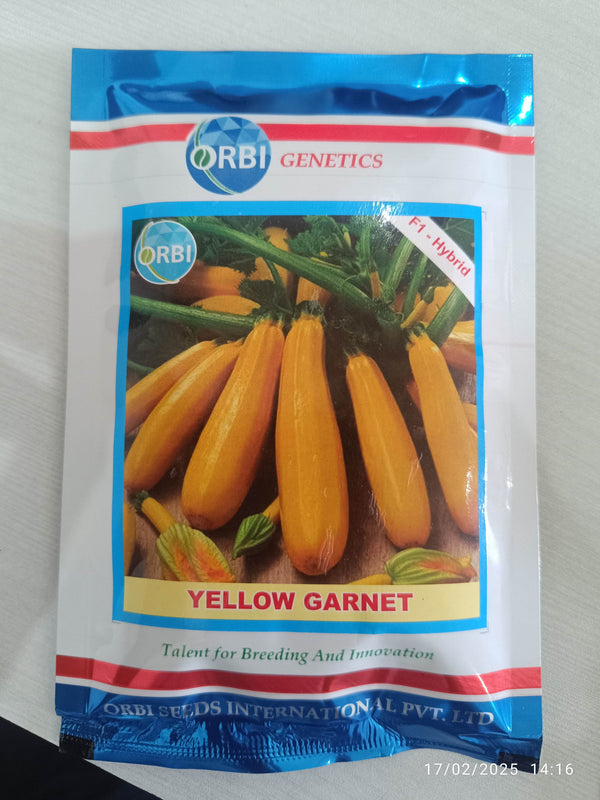 Yellow Garnet F1 Hybrid Yellow Zuchini (Orbi International) - Farmers Stop