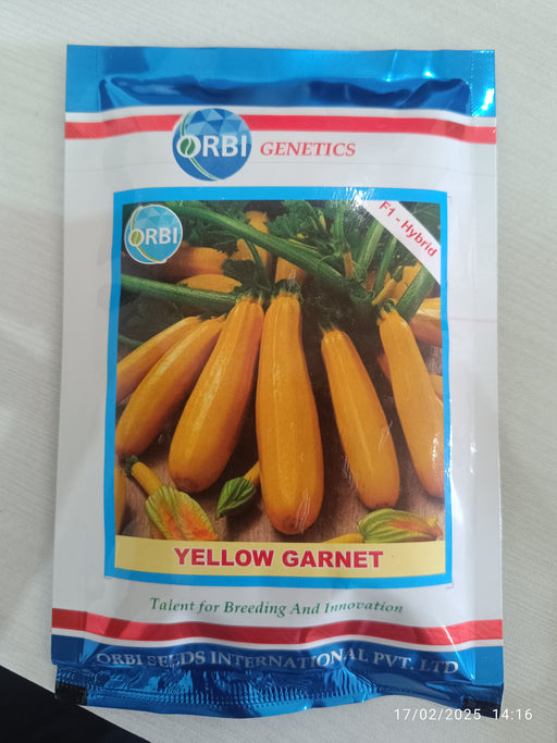 Yellow Garnet F1 Hybrid Yellow Zuchini (Orbi International) - Farmers Stop