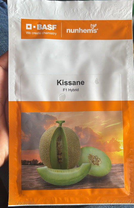 Kissane F1 Hybrid Muskmelon (BASF-Nunhems) - Farmers Stop