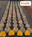 Pratik F1 Hybrid Winter Squash (Known You Seeds) - Farmers Stop