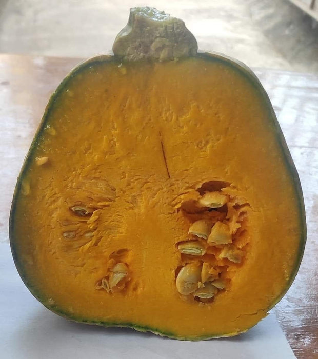 Pratik F1 Hybrid Winter Squash (Known You Seeds) - Farmers Stop