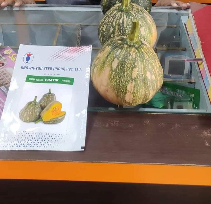 Pratik F1 Hybrid Winter Squash (Known You Seeds) - Farmers Stop