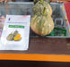 Pratik F1 Hybrid Winter Squash (Known You Seeds) - Farmers Stop