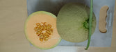 Sun Rise/सन राइज F1 Hybrid Muskmelon (Known You Seeds) - Farmers Stop
