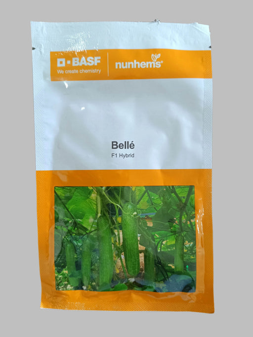 BELLE/बेल्ले F1 HYBRID CUCUMBER ( NUNHEMS) - Farmers Stop