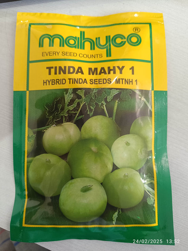 TINDA MAHY 1 F1 HYBRID TINDA MTNH 1 (Mahyco) - Farmers Stop