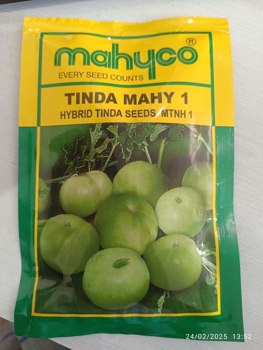 TINDA MAHY 1 F1 HYBRID TINDA MTNH 1 (Mahyco) - Farmers Stop