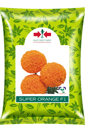 orange marigold seeds Super Orange F1 Hybrid Marigold Seeds – High-Yield, Vibrant Blooms | East  West Seeds
