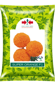 Super Orange F1 Hybrid Marigold (East West Seeds) - Farmers Stop