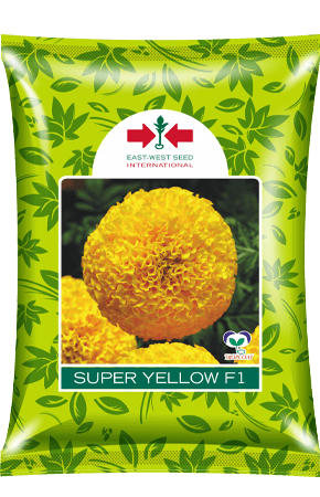 Super Yellow F1 Hybrid Marigold (East West Seeds) - Farmers Stop