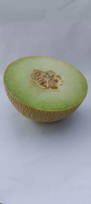Kissane F1 Hybrid Muskmelon (BASF-Nunhems) - Farmers Stop