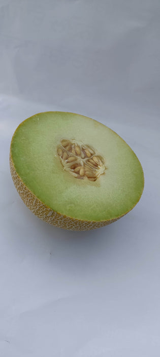 Kissane F1 Hybrid Muskmelon (BASF-Nunhems) - Farmers Stop
