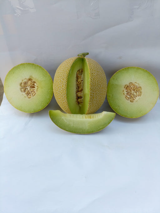 Kissane F1 Hybrid Muskmelon (BASF-Nunhems) - Farmers Stop