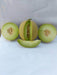 Kissane F1 Hybrid Muskmelon (BASF-Nunhems) - Farmers Stop
